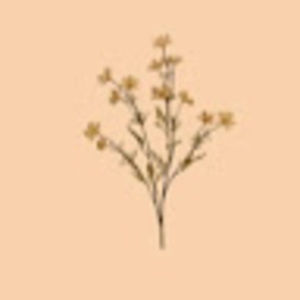 Meet your Posher, Adriana